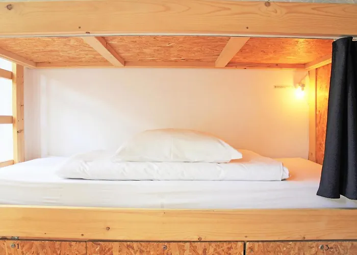 بيت شباب Lookout *